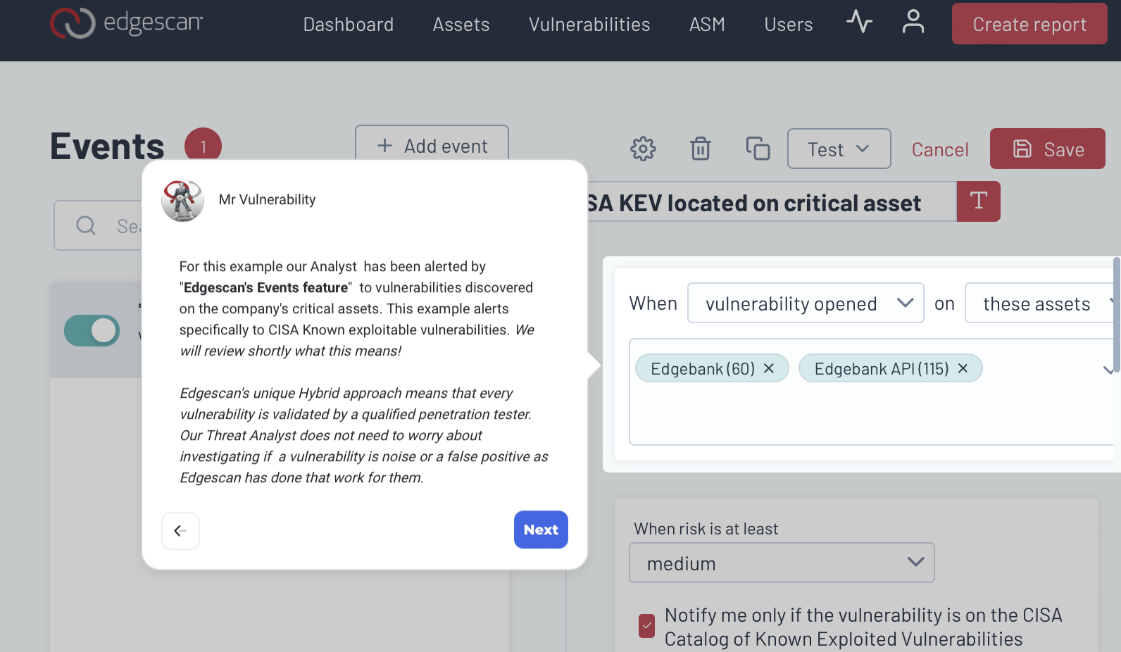 Vulnerability Triage and Risk Ratings Overview Video